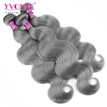 Venta al por mayor brasileña Body Wave Grey Hair Armadura